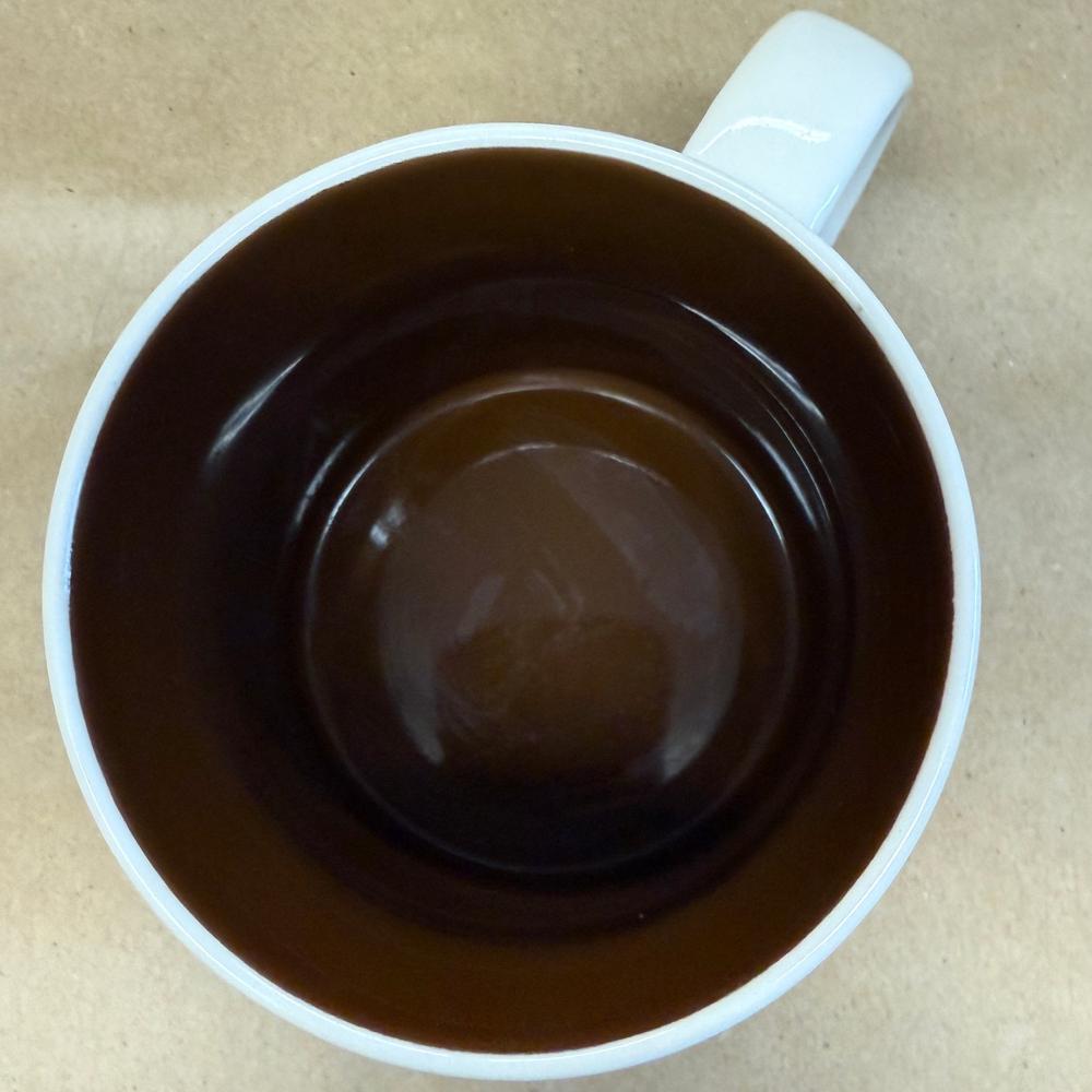 Starbucks You Are Here Series Houston Mug-2015